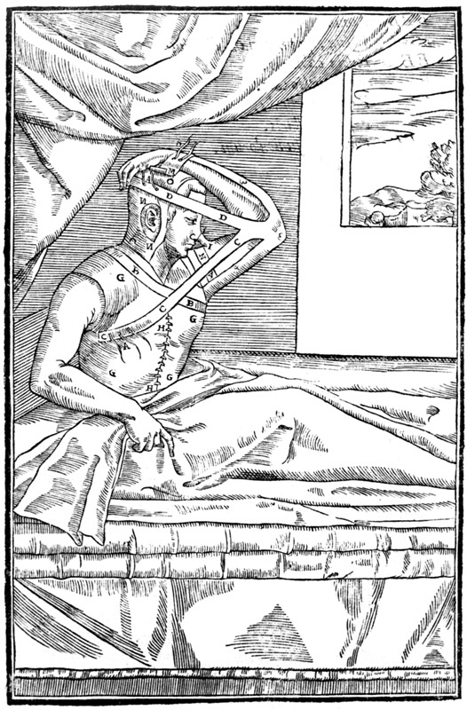 Il primo libro italiano di chirurgia plastica - 1597