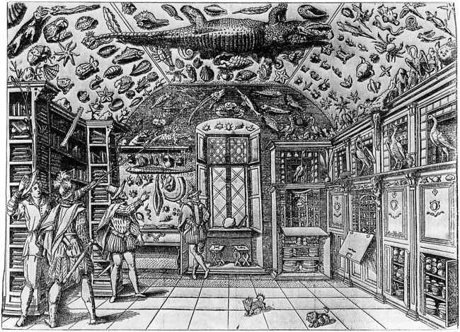 La prima raffigurazione a stampa di una wunderkammer - 1599