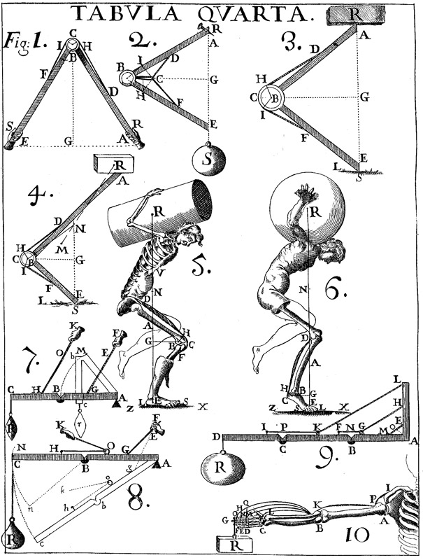 Il fondatore degli studi di biomeccanica - 1680-1681