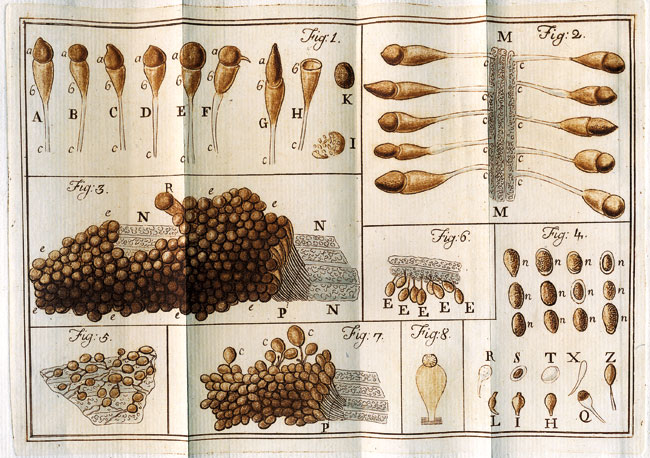 La microbiologia al servizio dell'agricoltura - 1767