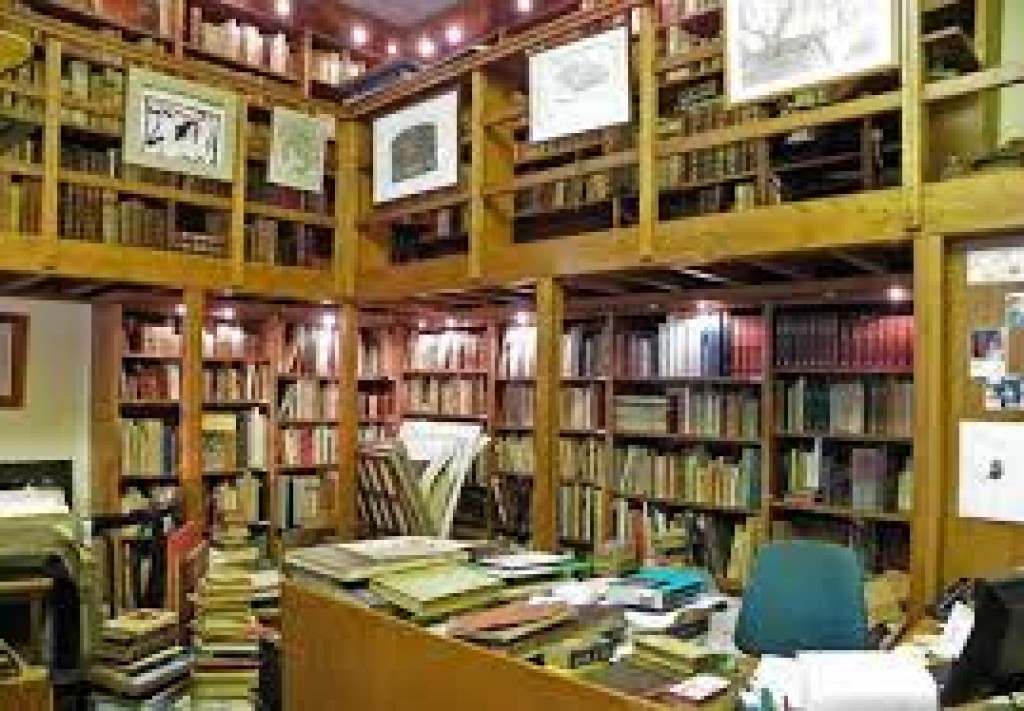 Alfea Libreria Antiquaria